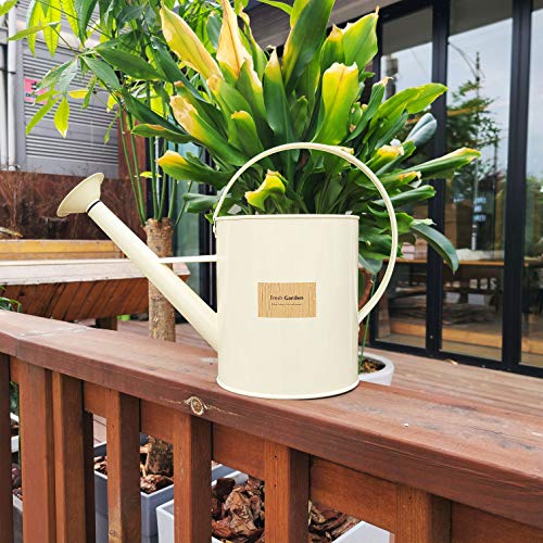 BFA Metal Watering Can with Removable Shower Head, 3.5L 0.92 gal...