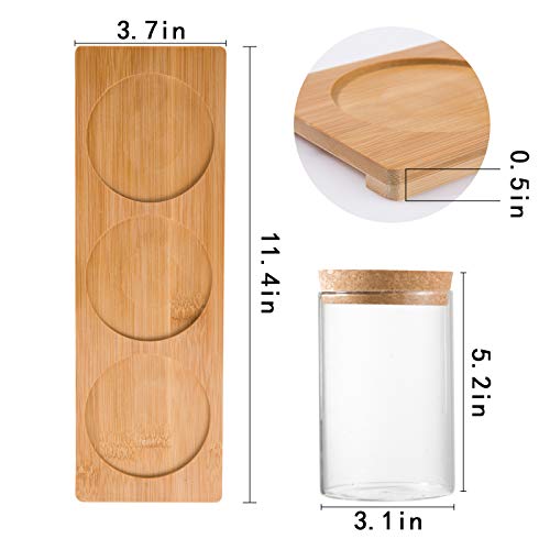 Desktop Plant Terrarium Propagation Station- 3Pcs Tabletop Glass P...