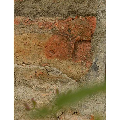 BINOTA Concrete Hole Saw SDS Plus Shank for Cement Brick Wall, Kit...