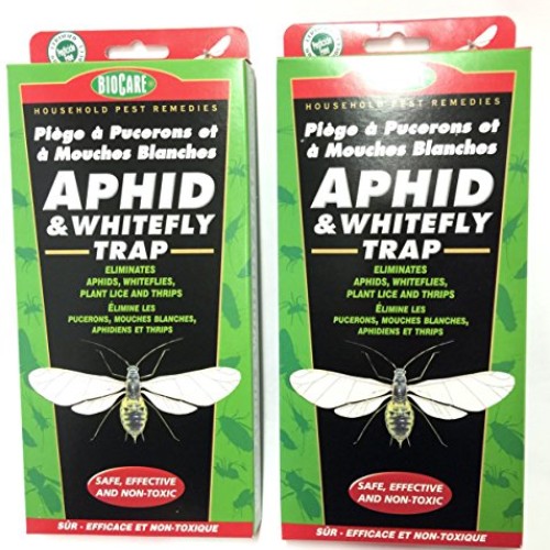 2 Pack - BioCare Household Pest Remedies APHID & WHITEFLY TRAP - S...