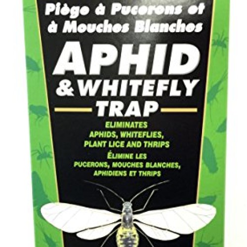 2 Pack - BioCare Household Pest Remedies APHID & WHITEFLY TRAP - S...