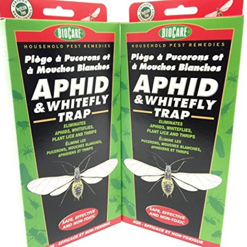 2 Pack - BioCare Household Pest Remedies APHID & WHITEFLY TRAP - S...