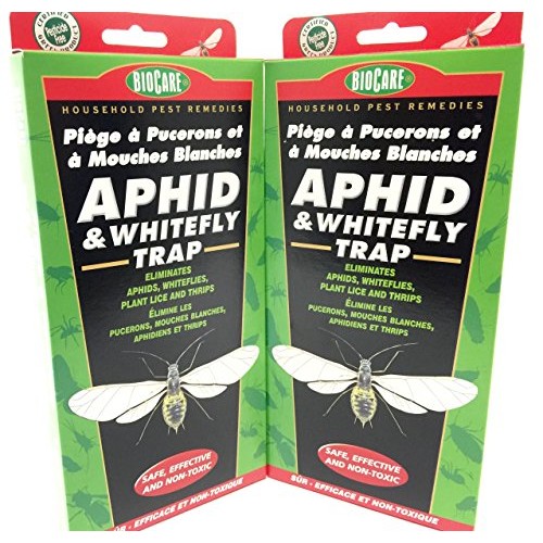 2 Pack - BioCare Household Pest Remedies APHID & WHITEFLY TRAP - S...