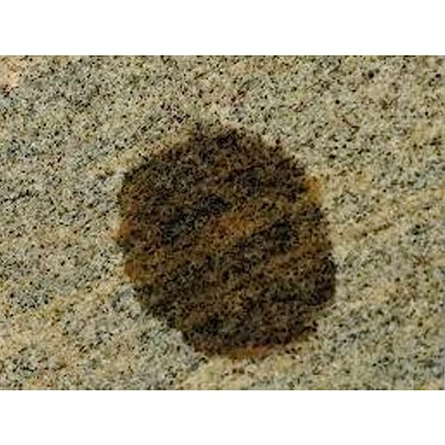Bio Clean Hard Water Stain Remover 40 oz. 20.3 oz.