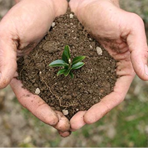 Biofeed Soil-Plus 7-0-0 | Liquid Aerating Soil Loosener, Condition...