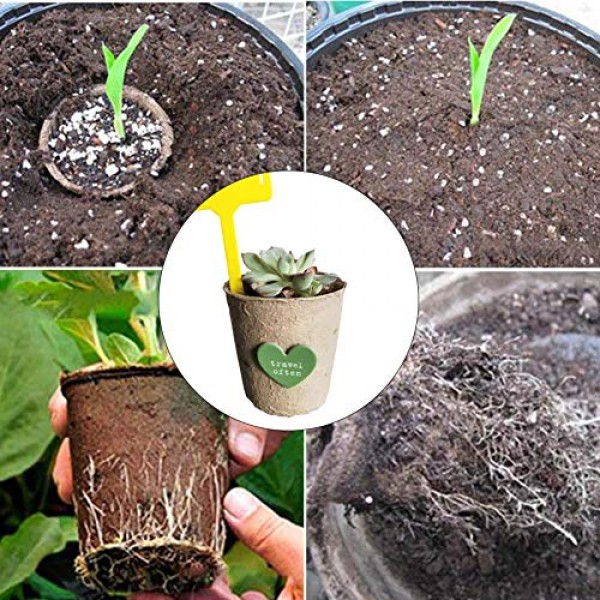 Seed Starter peat Pots KIT |100% Organic Biodegradable | Cup for P...