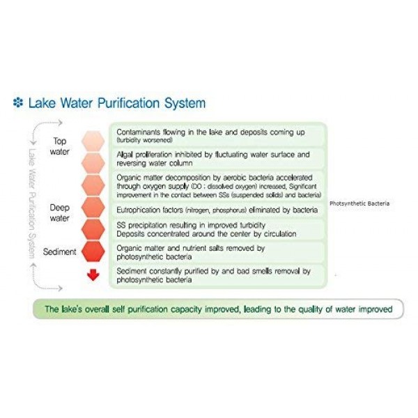 BioSun Renew Pond and Lake Photosynthetic Bacteria Treatment 32 oz