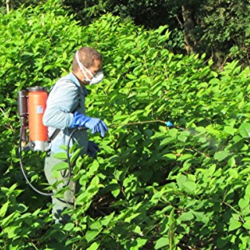 Birchmeier 109-600-01 Iris 15K Backpack Sprayer