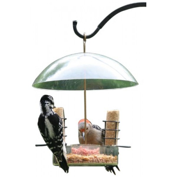 Birds Choice Supper Dome Mealworm/Seed Feeder