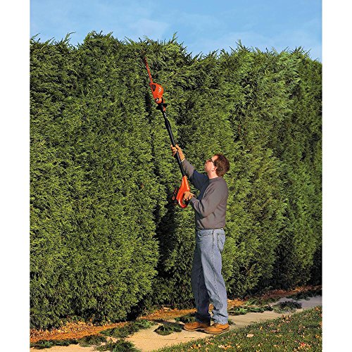 BLACK+DECKER 20V MAX Cordless Pole Hedge Trimmer, 18-Inch LPHT120