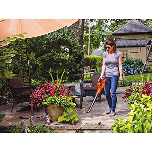 BLACK+DECKER 20V MAX Cordless Sweeper with Power Boost LSW321