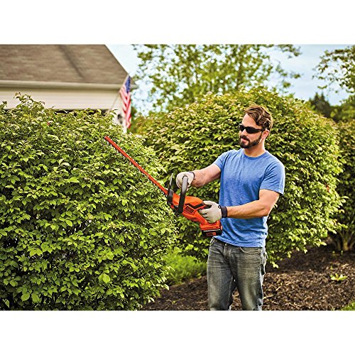 BLACK+DECKER 40V MAX Cordless Hedge Trimmer, 22-Inch LHT2240CFF
