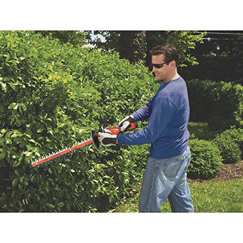 BLACK+DECKER 40V MAX Cordless Hedge Trimmer, 24-Inch LHT2436