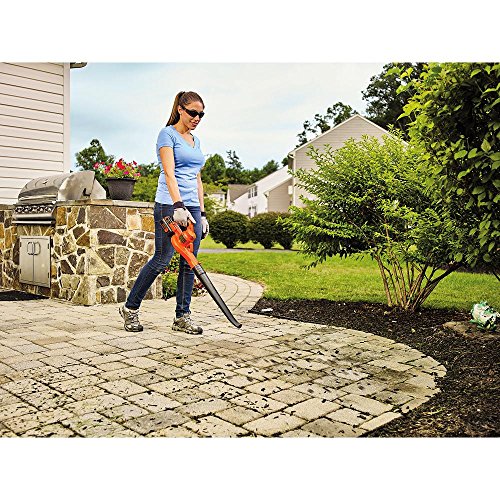 BLACK+DECKER 40V MAX Cordless Sweeper LSW40C