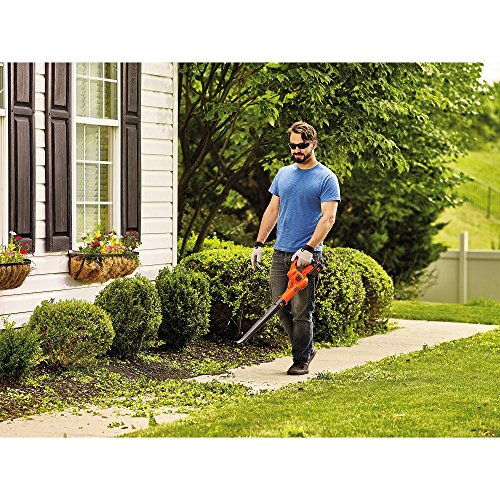 BLACK+DECKER 40V MAX Cordless Sweeper LSW40C