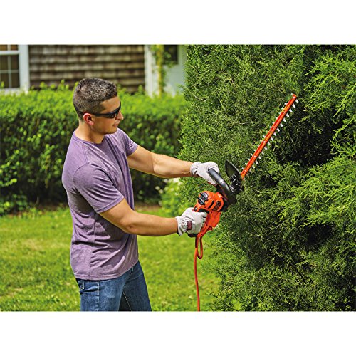 BLACK+DECKER Hedge Trimmer, 22-Inch BEHT350FF