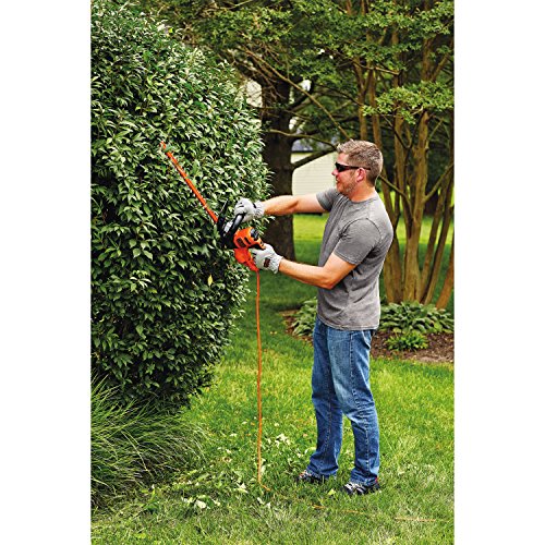 BLACK+DECKER Hedge Trimmer, 22-Inch BEHT350FF