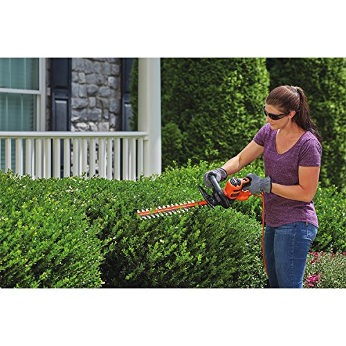 BLACK+DECKER Hedge Trimmer, 22-Inch BEHT350FF