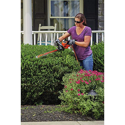 BLACK+DECKER Hedge Trimmer with Saw, 20-Inch BEHTS300