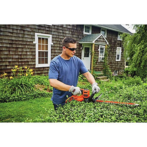 BLACK+DECKER Hedge Trimmer with Saw, 20-Inch BEHTS300