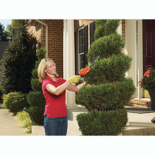 BLACK+DECKER Shrub Trimmer/Grass Shear Combo, Cordless, 3.6V GSL35