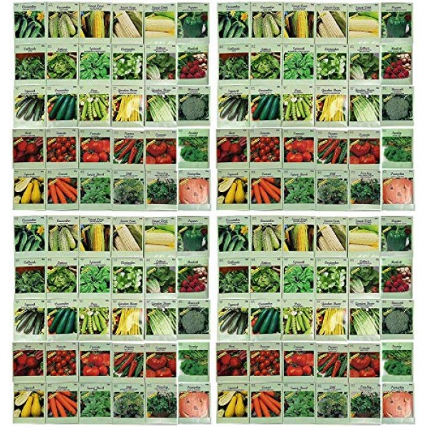 Set of 120 Vegetable and Herb Seeds - Semi Assorted - 100% Non-GMO...