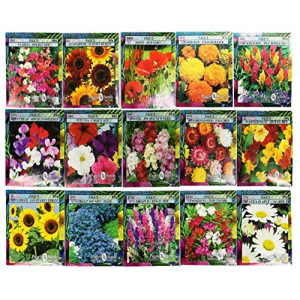 Set of 15 Black Duck Brand Heirloom Flower Seeds 15 Different ...