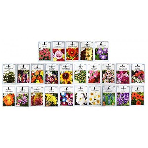 Set of 25 Premium Selection Flower Seed Packets! Flower Seeds in B...
