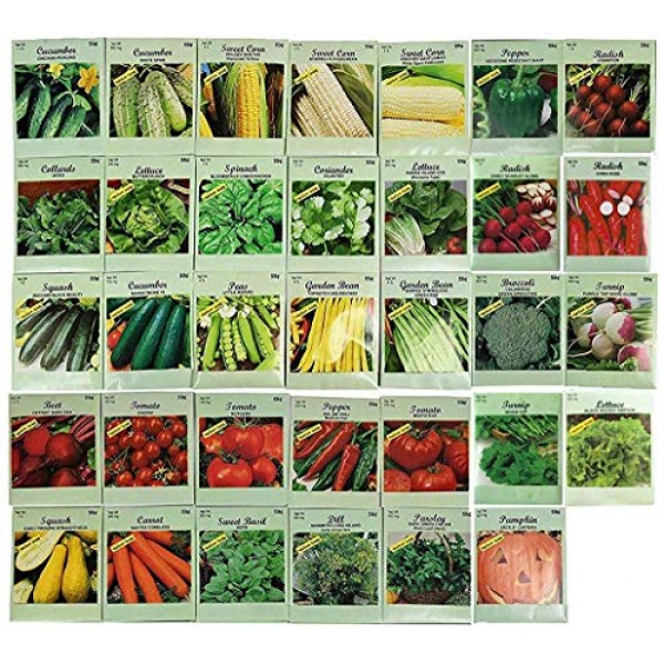Set of 34 Veggie and Herb Seeds! - Heirloom and Non GMO! - High Ge...