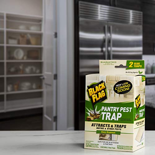 Black Flag HG-11038 Pantry Pest, Disposable Insect Trap, 2-Count