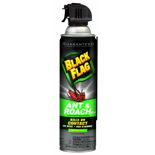 Black FlagAnt and Roach Killer Crack and Crevice Aerosol, Spring F...