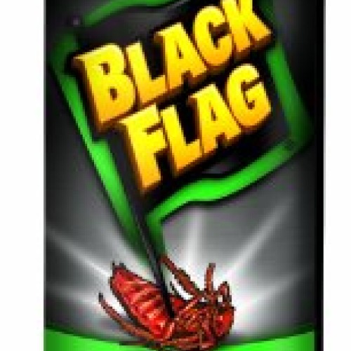 Black FlagAnt and Roach Killer Crack and Crevice Aerosol, Spring F...