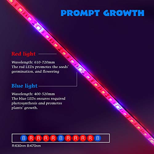 Grow Light Plant,Bliifuu Adjustable 4pcs Timing Growing Lamp Grow ...