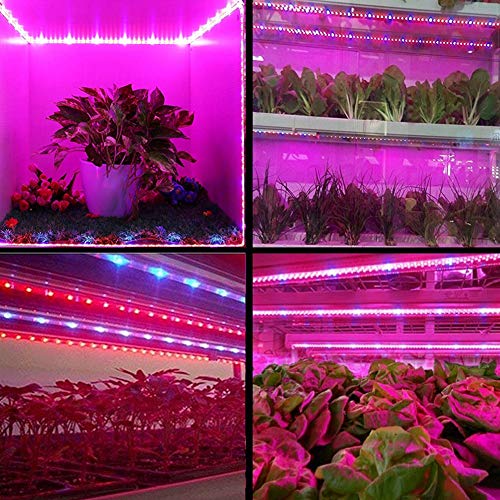 Grow Light Plant,Bliifuu Adjustable 4pcs Timing Growing Lamp Grow ...