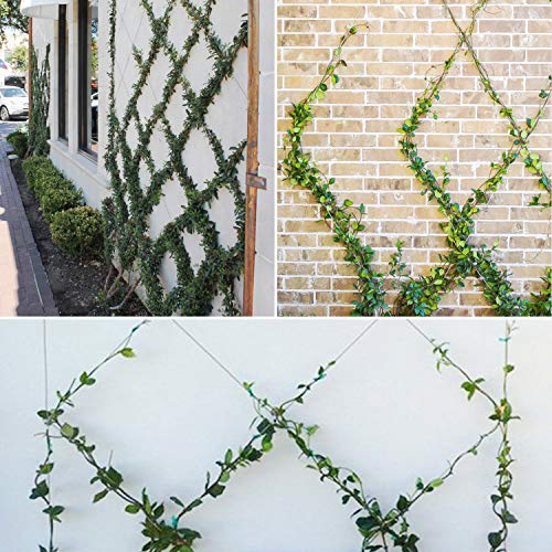 BLIKA 20 Pcs Green Wall Stainless Steel Hubs, Wire Trellis Kits fo...