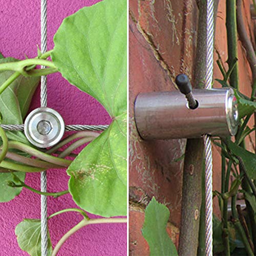 BLIKA 20 Pcs Green Wall Stainless Steel Hubs, Wire Trellis Kits fo...
