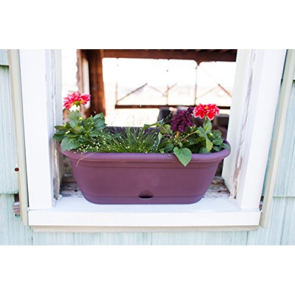 Bloem Living LWB1860 Lucca Self-Watering Window Box, 18-Inch, Pepp...