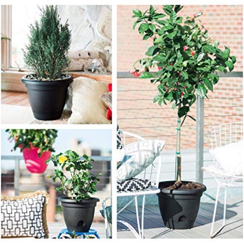 Bloem 010037 LP1046 Lucca Planter, 10-Inch, Terra Cotta