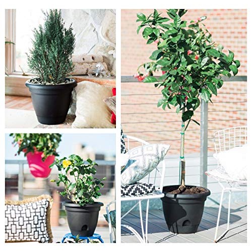 Bloem 010037 LP1046 Lucca Planter, 10-Inch, Terra Cotta