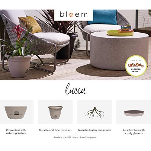 Bloem 010037 LP1046 Lucca Planter, 10-Inch, Terra Cotta