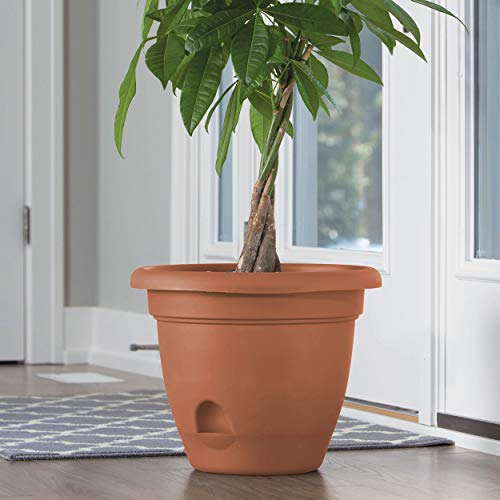 Bloem 010037 LP1046 Lucca Planter, 10-Inch, Terra Cotta