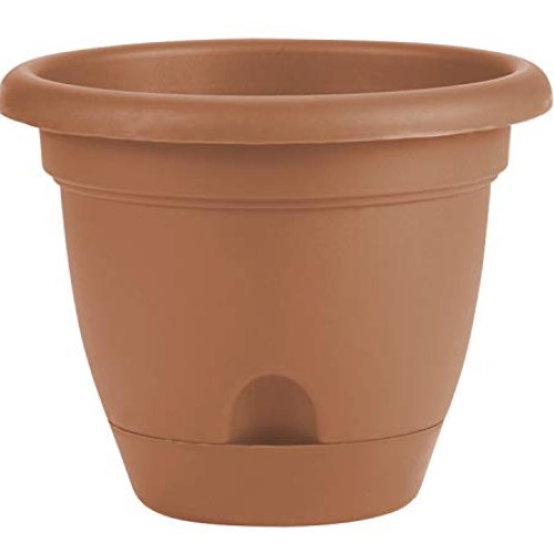 Bloem 010037 LP1046 Lucca Planter, 10-Inch, Terra Cotta
