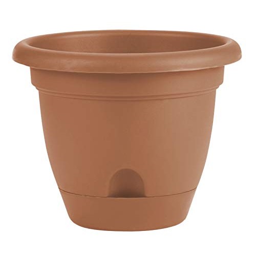 Bloem 010037 LP1046 Lucca Planter, 10-Inch, Terra Cotta