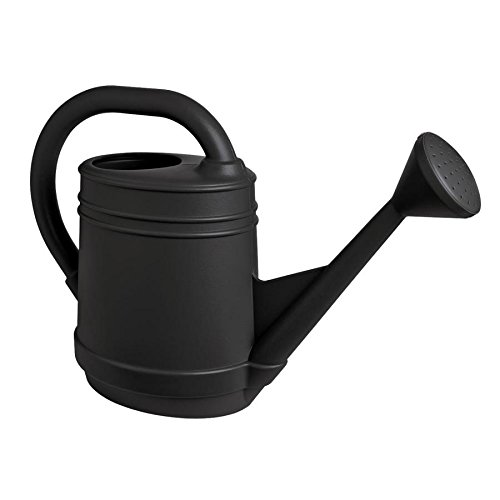 Bloem 2 Gallon Light Weight Traditional Watering Can, Slate Resin