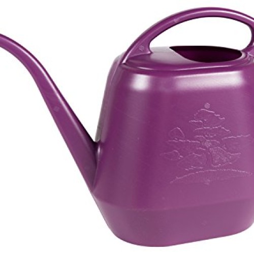 Bloem Aqua Rite Watering Can, 144 oz, Passion Fruit JW41-29