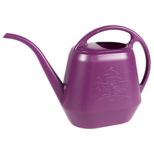 Bloem Aqua Rite Watering Can, 144 oz, Passion Fruit JW41-29