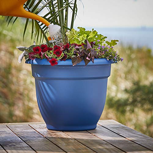 Bloem Classic JW Watering Can, 2 Gallon, Deep Sea JW82-31