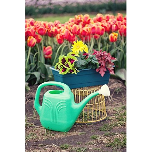 Bloem Classic JW Watering Can, 2 Gallon, Deep Sea JW82-31