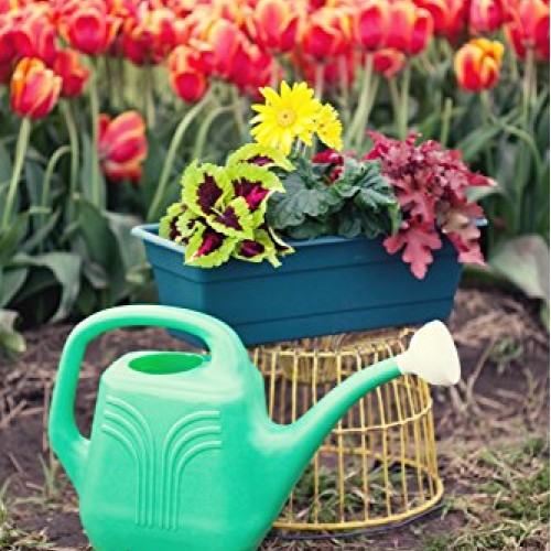 Bloem Classic JW Watering Can, 2 Gallon, Deep Sea JW82-31