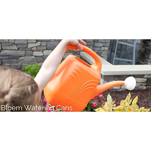Bloem Classic JW Watering Can, 2 Gallon, Deep Sea JW82-31